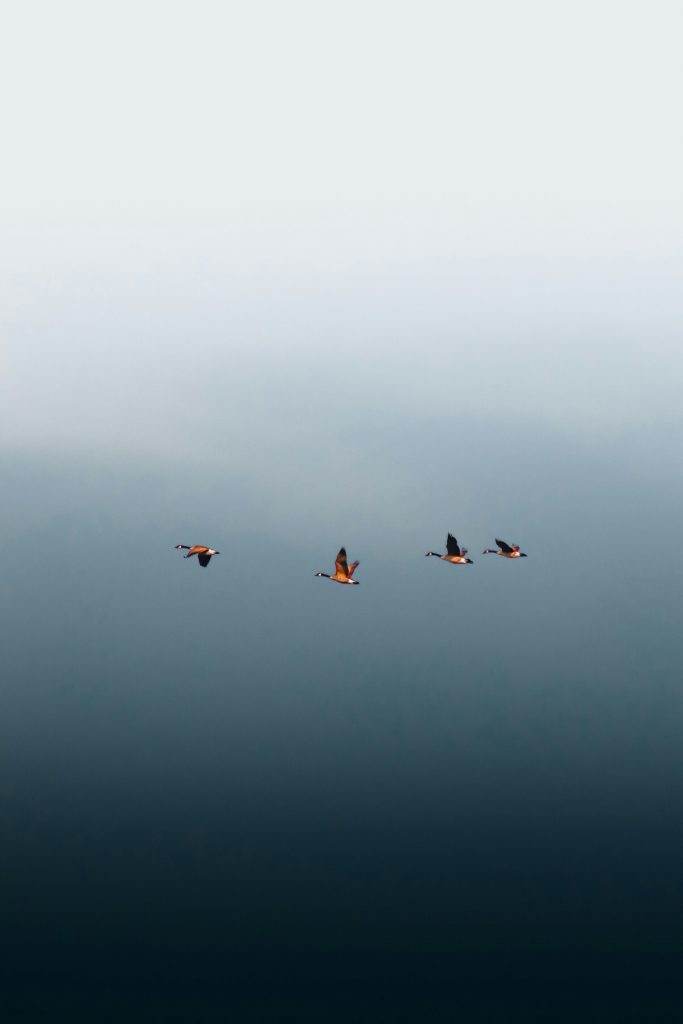 Positionnement et alignement intérieur pour plus de clarté